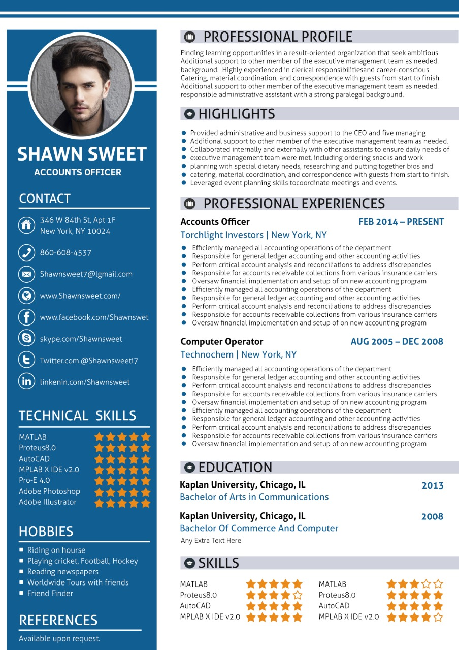 Professional Resume